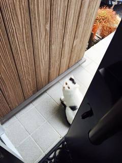 2015031311.jpg