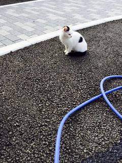 201503133.jpg