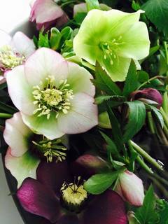 201503135.jpg