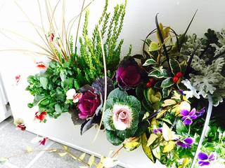 20151027.jpg