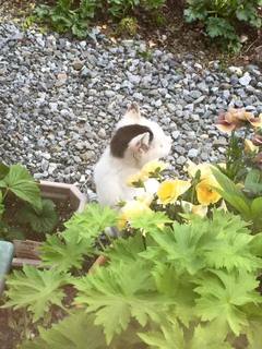 201505013.jpg