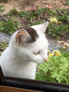 201505015.jpg