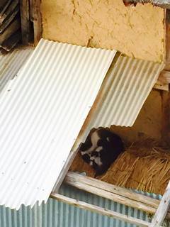 201505016.jpg