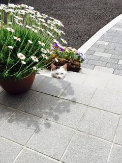 201505064.jpg
