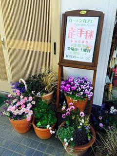 20150517.jpg