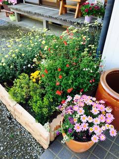 201505172.jpg