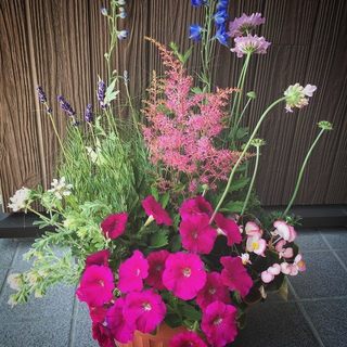 20150602.jpg