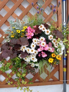 IMG_1747.jpg