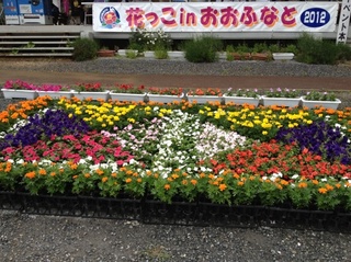 IMG_2893.jpg